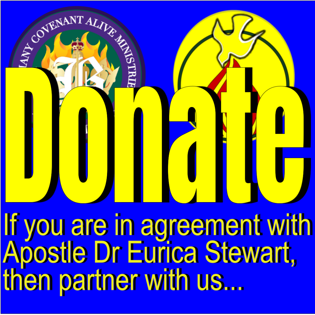 Donate Button