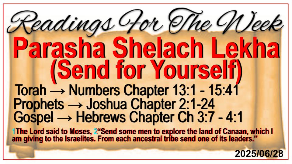 Readings for the Week