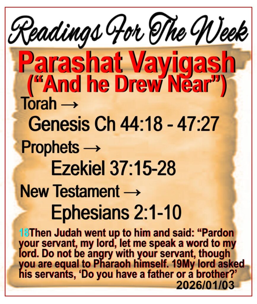 Readings for the Week