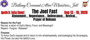 The Joel Fast - Cover Image